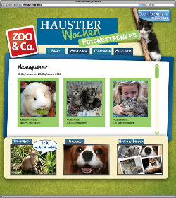 Haustierwochen